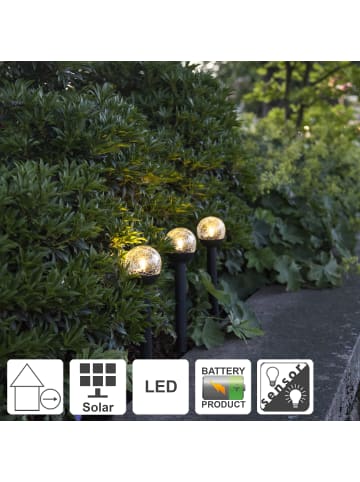 STAR Trading 3x LED Solar-Poller ,Roma, Kunststoff + Glas, schwarz, warmweiß, H 23