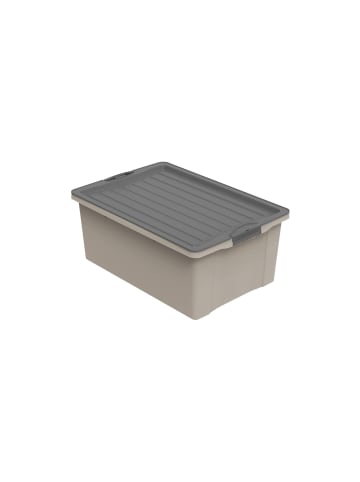 Rotho Stapelbox DIN A3, 38 l COMPACT