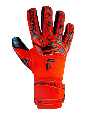 Reusch Torwarthandschuhe Attrakt Gold X in 3333  brig red/futr blu/blck