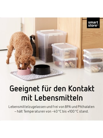 SmartStore 6er-Set Aufbewahrungsbox Classic Transparent 3.6L