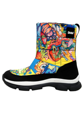 Dogo Dogo Nortia - Wackadoo 41