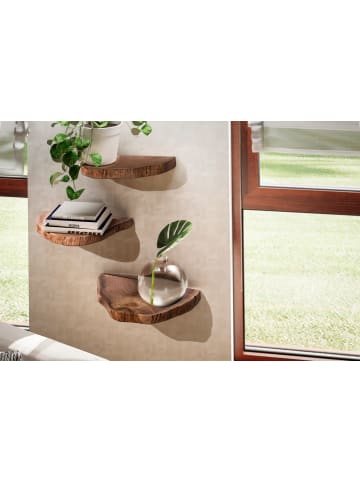 FineBuy Wandregal in Braun / Akazie / 47x25x4