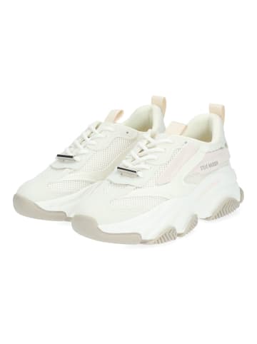 Steve Madden Sneaker in Weiß/Beige