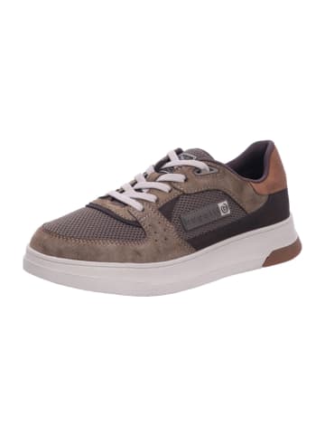 Bugatti Sneaker Low in braun
