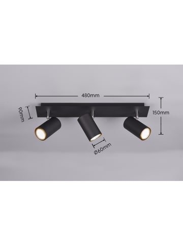 Trio Leuchten Strahler MARLEY in schwarz matt