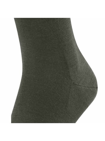 Falke Socken 2er Pack in Grün mel.