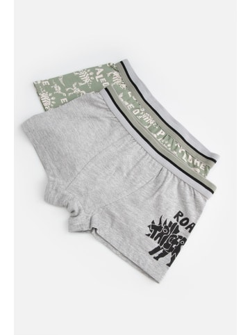 Coccodrillo Unterhose in bunt