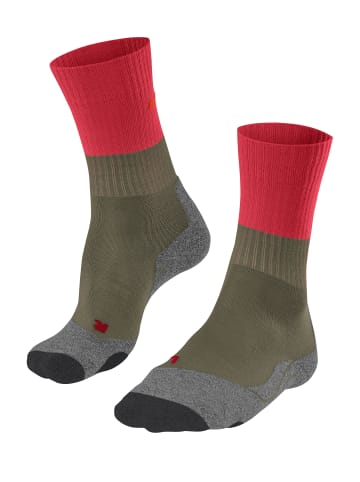 Falke Sportsocken TK2 in Thyme