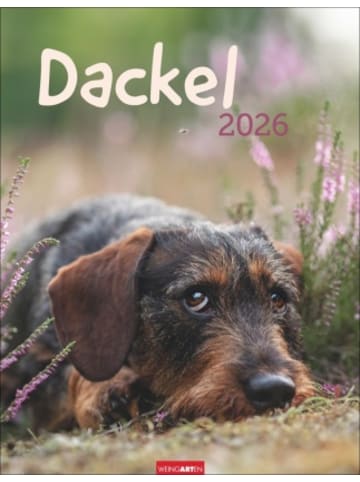 Weingarten Kalender - Dackel Kalender 2026