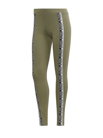 adidas Leggings in legacy green