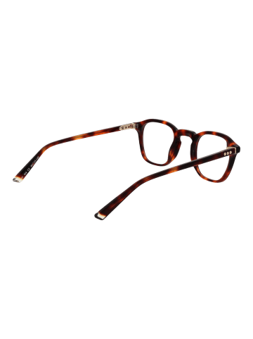 Taylor Morris Unisex Optische Fassungen Quadratisch Braun