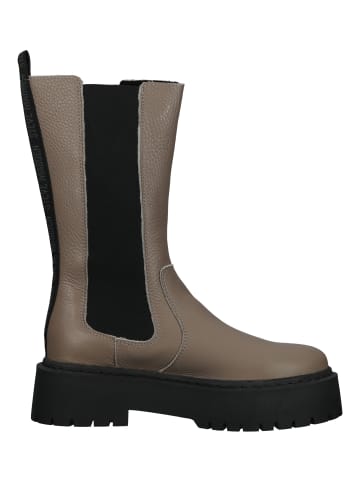 Steve Madden Stiefel in Beige/Schwarz