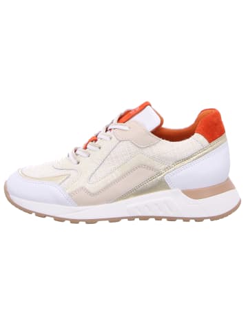 Piedi Nudi Schnürschuh in weiß