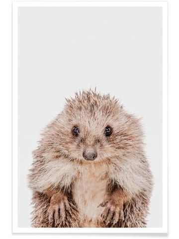 Juniqe Poster "Hedgehog" in Braun
