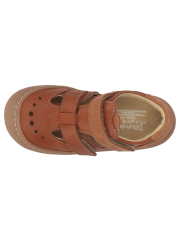 Däumling Lauflernschuh Sena in braun