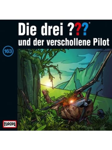 Sony Music Entertainment Die drei ??? 163 und der verschollene Pilot (drei Fragezeichen) CD