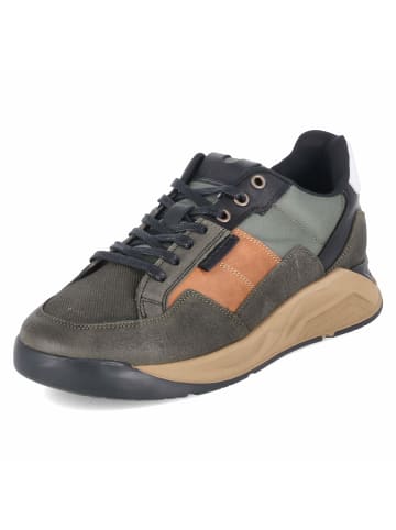 Bullboxer Schnürhalbschuh in green