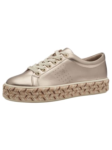 Jana Sneaker in CHAMPAGNER