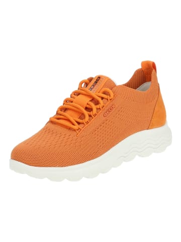 Geox Sneaker Orange