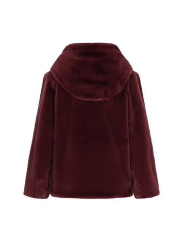 taddy Women Jacket in Burgundy