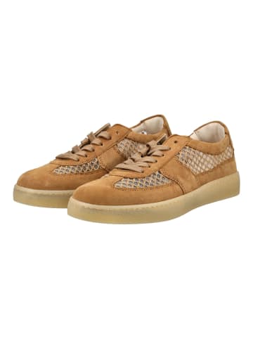 Gabor Sneaker Braun