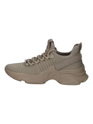 Steve Madden Sneaker in Taupe