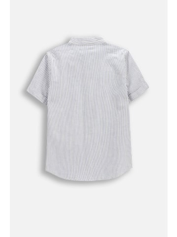 Coccodrillo Kurzarmhemd in blau