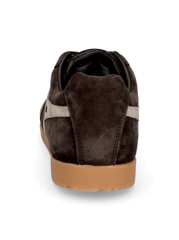 Gola Sneaker Harrier Mirror in Mocca Gold