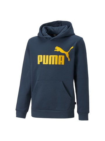 Puma Sweatshirt in Blau