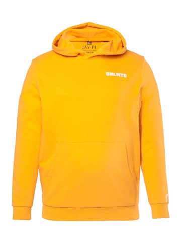 JP1880 Sweatshirt in karotte