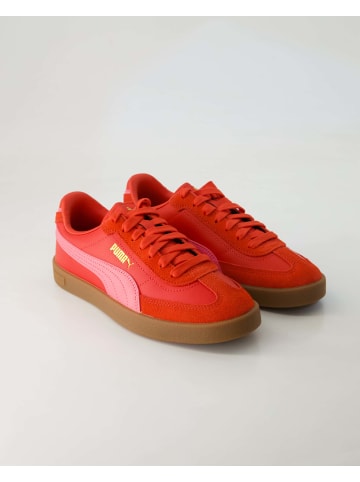 Puma Sneaker low in Rot