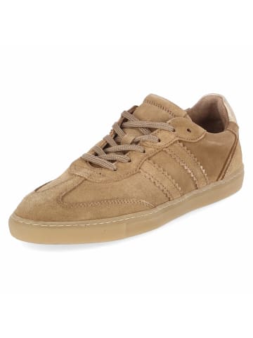 Fräulein Frida Schnürhalbschuh in brown