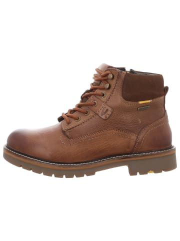 Camel Active Sneaker in braun