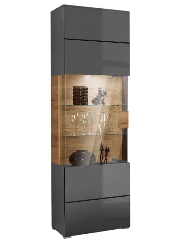 Helvetia Vitrine Toledo anthrazit / Alteiche 60,8 / 39,5 / 204cm