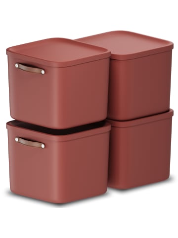 Rotho 4er-Set Kiste mit Deckel Maloja 40l in Iron rot