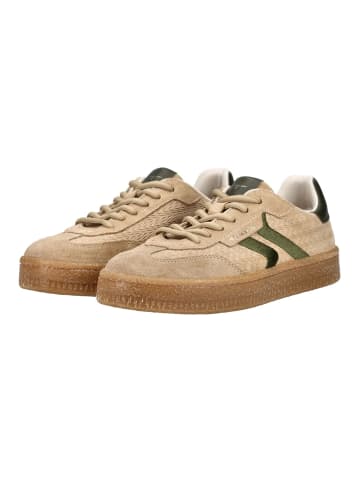 Tamaris Sneaker in Dunkelbraun/Schwarz