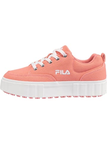 Fila Sneaker "Sandblast C Women" in Pink
