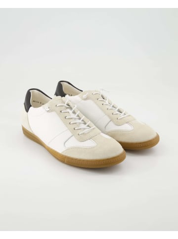Paul Green Sneaker low in Beige