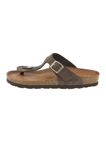 ROHDE Zehenstegsandalen Alba in Mocca