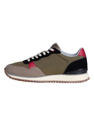 Napapijri Schnürsneaker Cosmos Grün