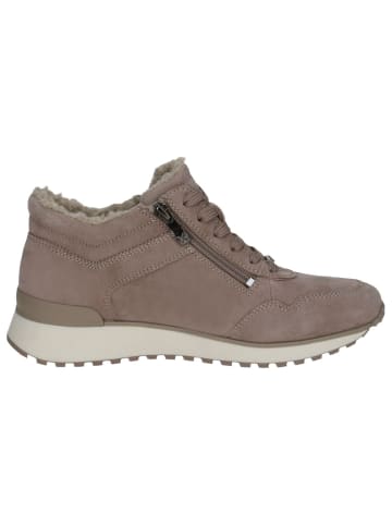 Caprice Sneaker in TAUPE SUEDE