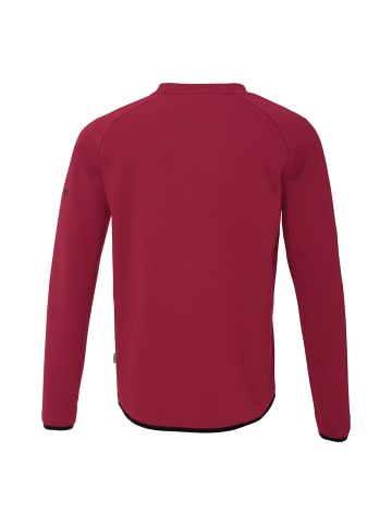 uhlsport  Sweatshirt ID Kids in bordeaux