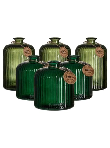 Ritzenhoff & Breker 6er Set Vasen Guyana Stripes in grün