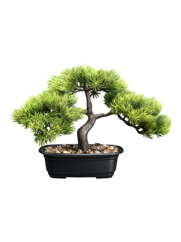 Creativ green Deko-Bonsai Kiefer in Kunststoffschale 17x10x5,5cm und Kies