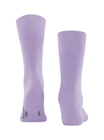 Falke Socken Tiago in Lupine