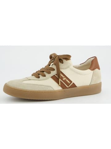 Paul Green Schnürschuh in biscuit