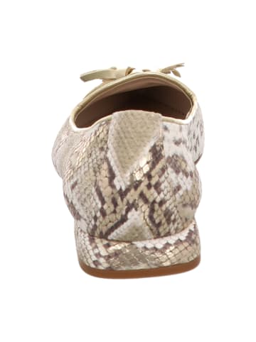 Gianluca Pisati Ballerinas in Animal