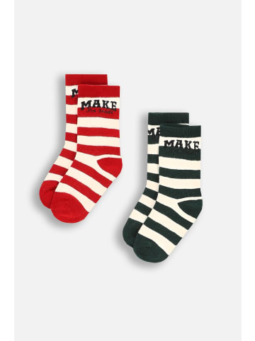 Coccodrillo Socken in bunt