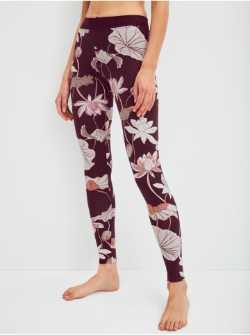 Calida Leggings in black cherry