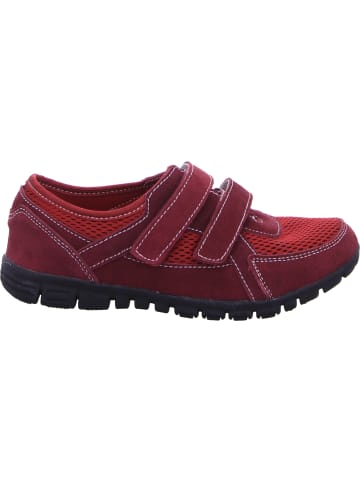 Scandi Slipper in bordeaux